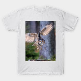 Eagle Owl T-Shirt